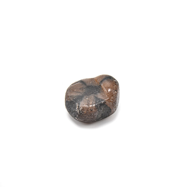 Piatra rulata chiastolit