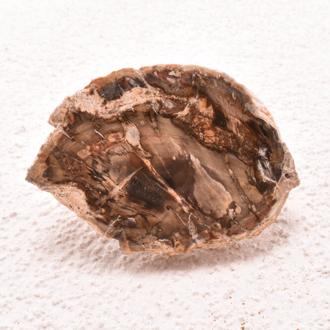 Lemn pietrificat de Madagascar 