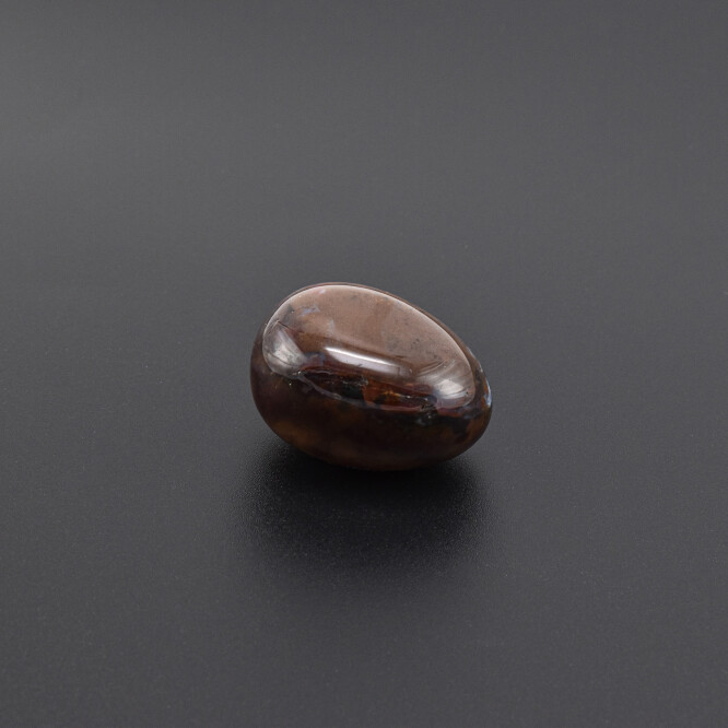 Piatra rulata Sardonix